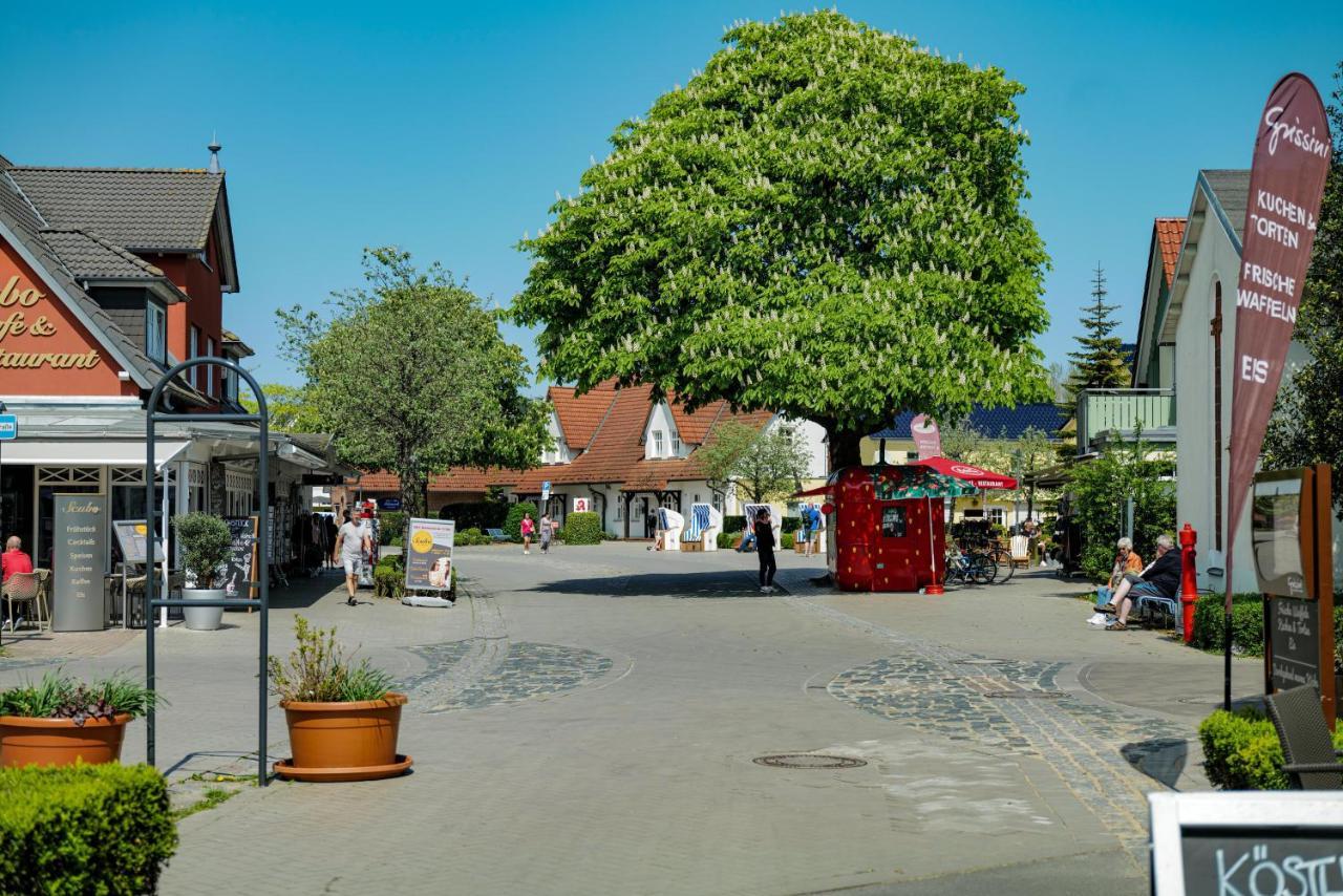 Ferienwohnungen Meerfarbig Zingst - Haustierfrei -Terrasse Mit Strandkorb Oder Balkon - E-Ladesaeule - Parkplatz - Wlan - Fahrradschuppen - Waschtrockner - Ruhig Und Zentral - Nichtraucher Exteriér fotografie